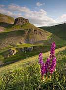 3125 Orchids and Peters Stone V Chris Gilbert, Ravenseye Gallery, Peak District, Photographs, Courses